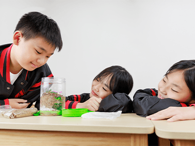 Students in a Mavis Tutorial Centre Primary 2 class